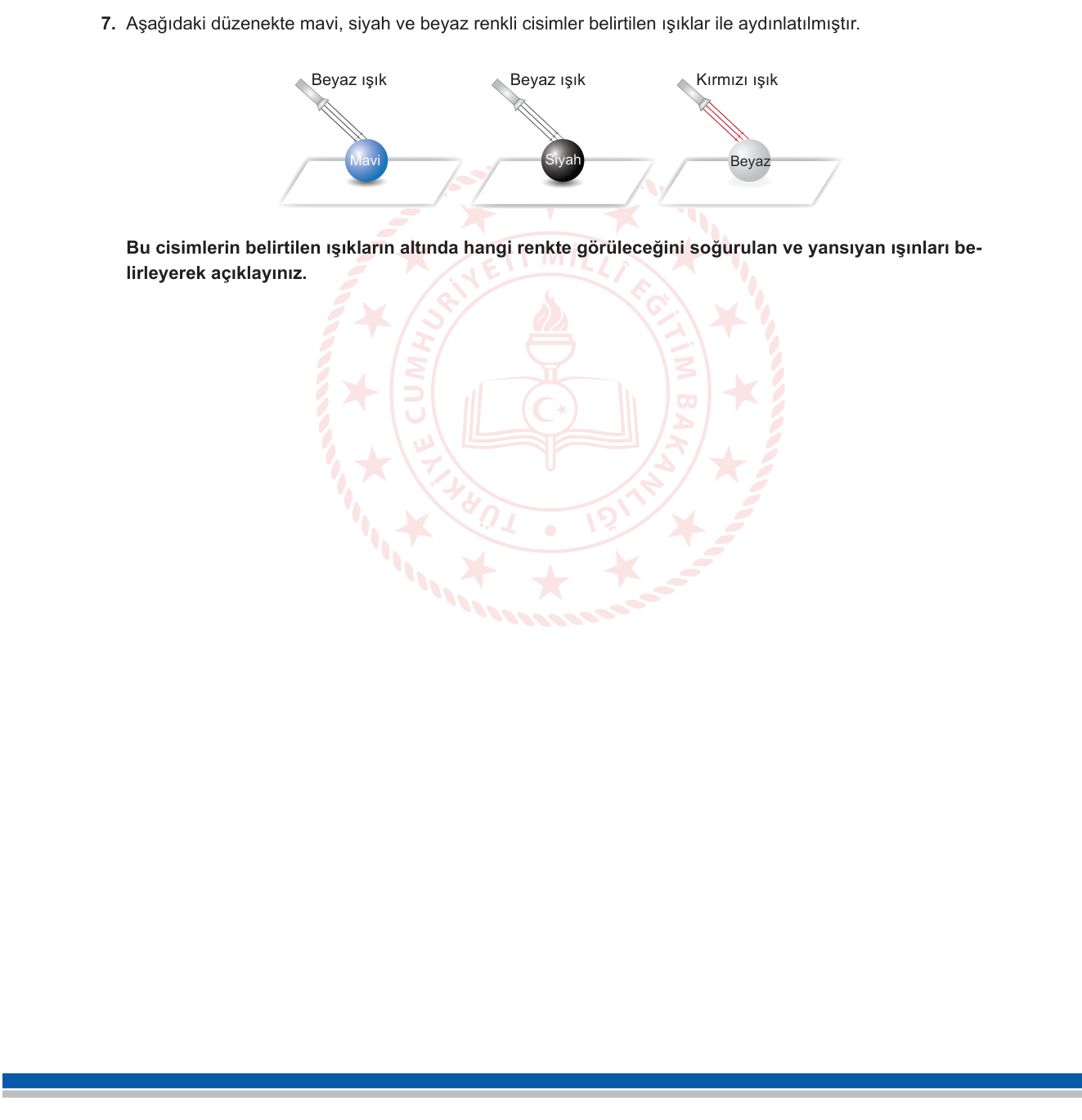 Fen Bilimleri sorusu 7 — 