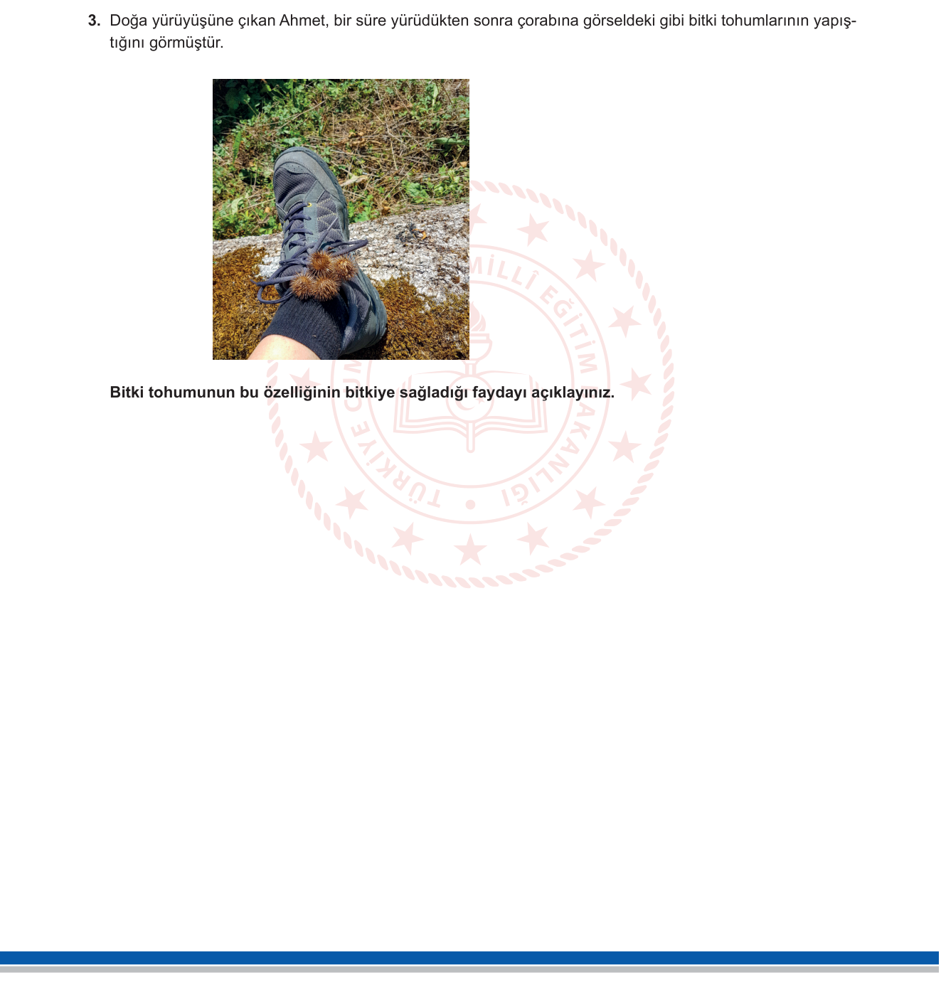 Biyoloji sorusu 16 — 