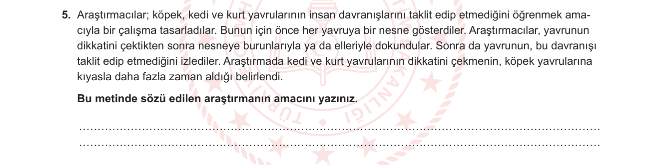 Türkçe sorusu 8 — Okuma Anlama: Metinden Amaç / Ana Fikir Çıkarma