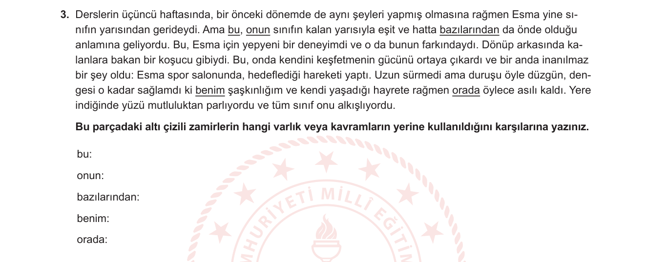Türkçe sorusu 27 — 