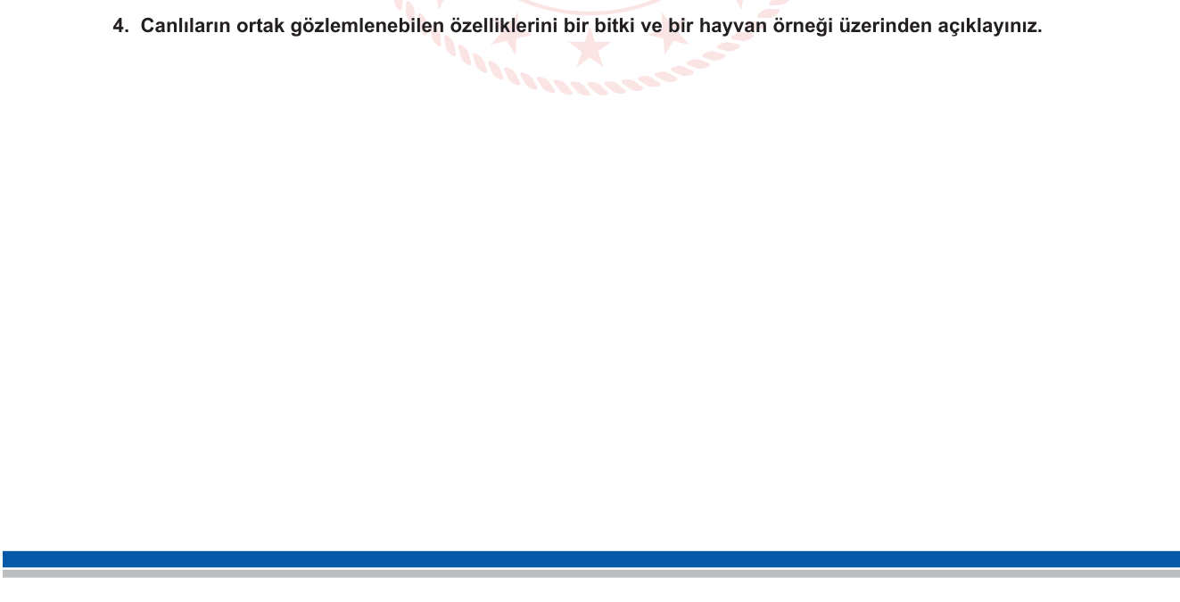 Biyoloji sorusu 4 — Canlıların ortak özellikleri