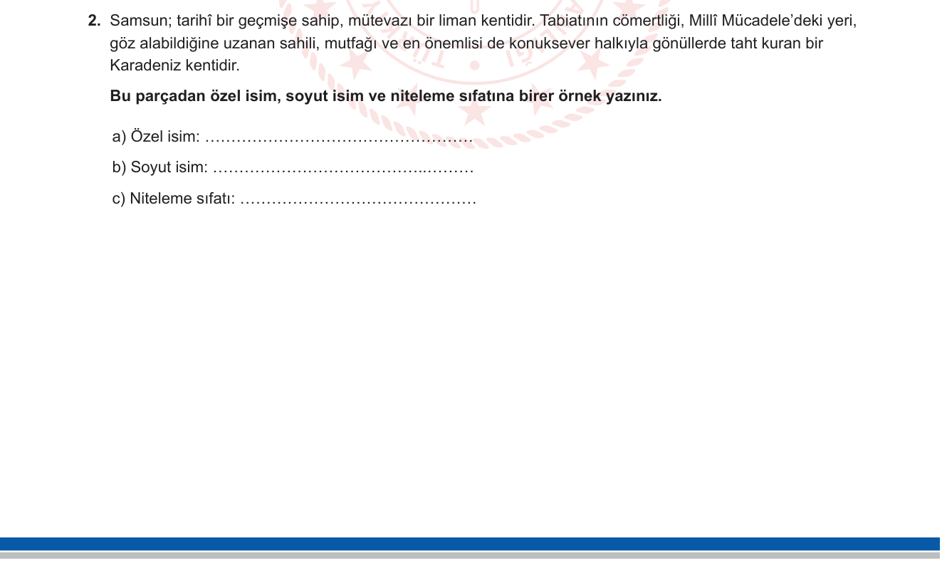 Türkçe sorusu 7 — 