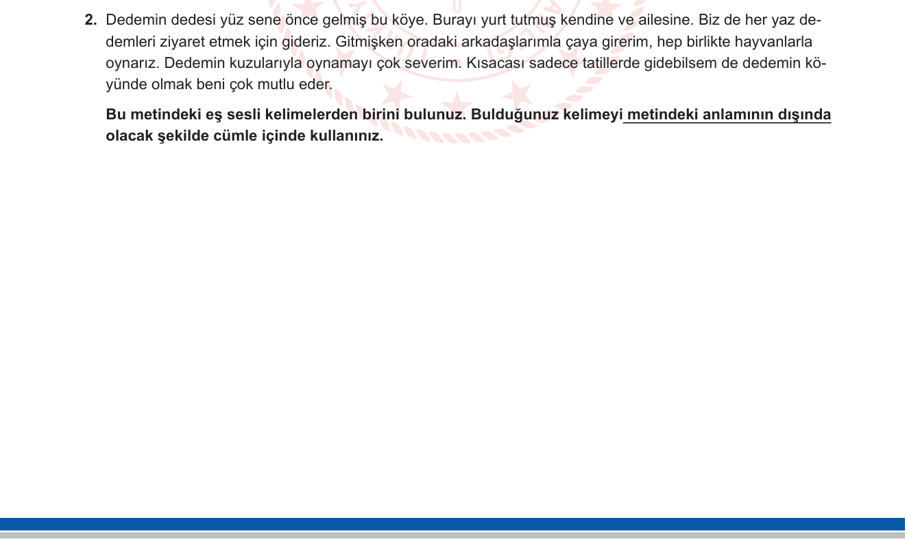 Türkçe sorusu 2 — 
