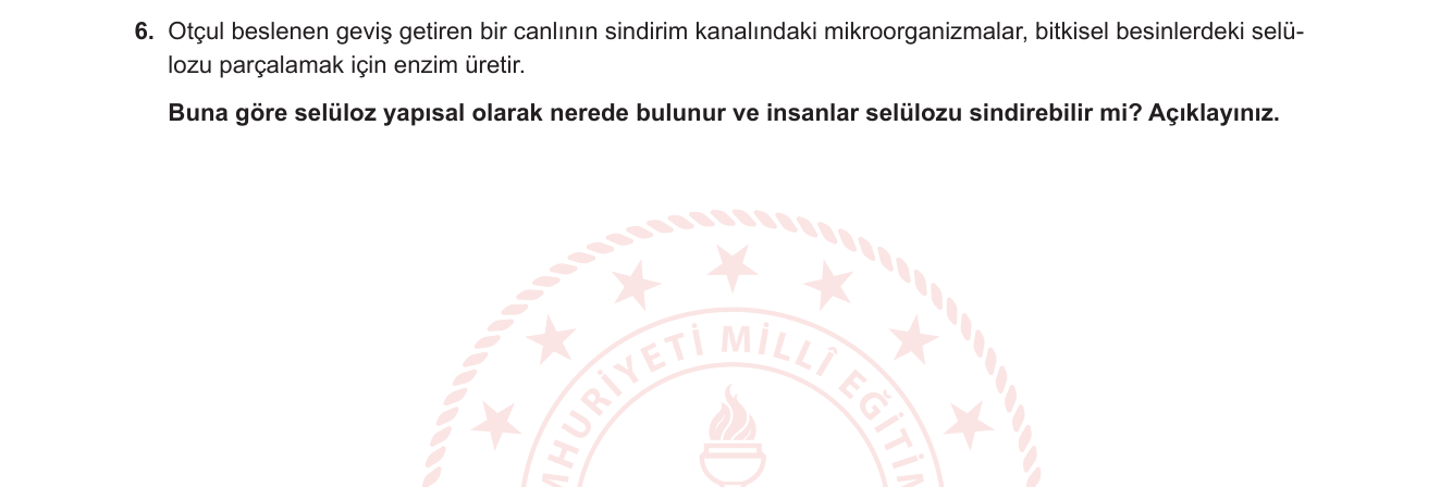 Biyoloji sorusu 6 — Karbonhidratlar — selüloz yapısı ve sindirim