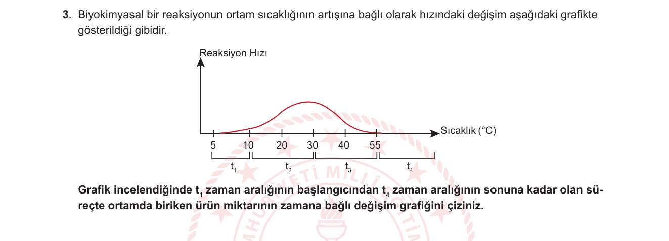 Biyoloji sorusu 3 — Enzimler — Sıcaklığın enzim aktivitesine etkisi / Ürün birikimi grafiği (9. sınıf Biyoloji)