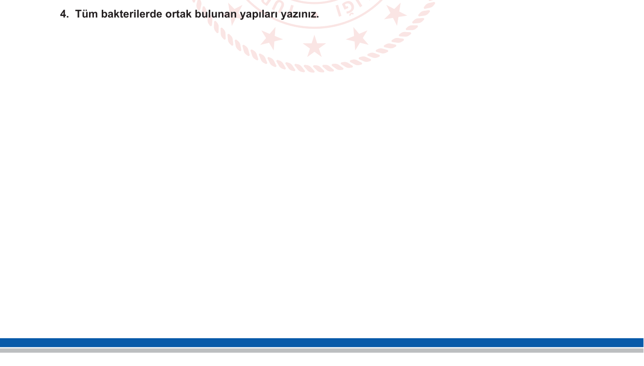Biyoloji sorusu 11 — 