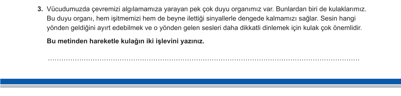 Türkçe sorusu 5 — Metinden Bilgi Çıkarma — Duyu Organlarının İşlevleri