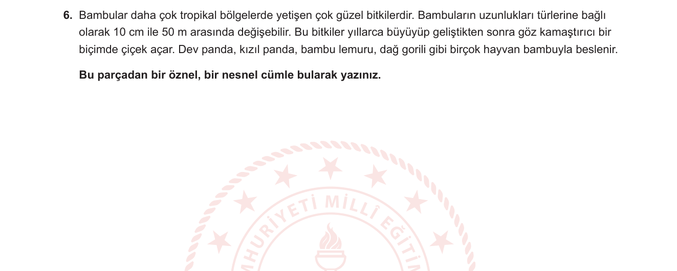 Türkçe sorusu 20 — 