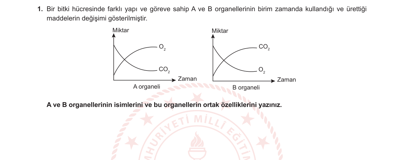 Biyoloji sorusu 8 — 