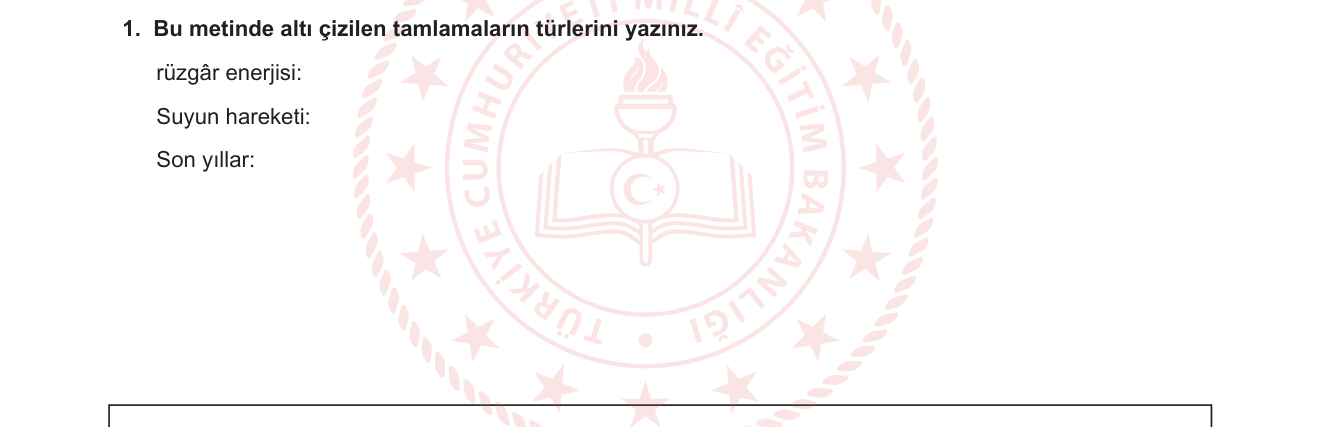 Türkçe sorusu 14 — 
