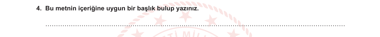 Türkçe sorusu 4 — Metin anlama — başlık oluşturma, ana düşünceyi özetleme