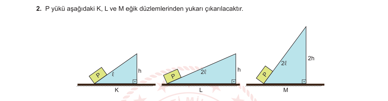 Fen Bilimleri sorusu 24 — 
