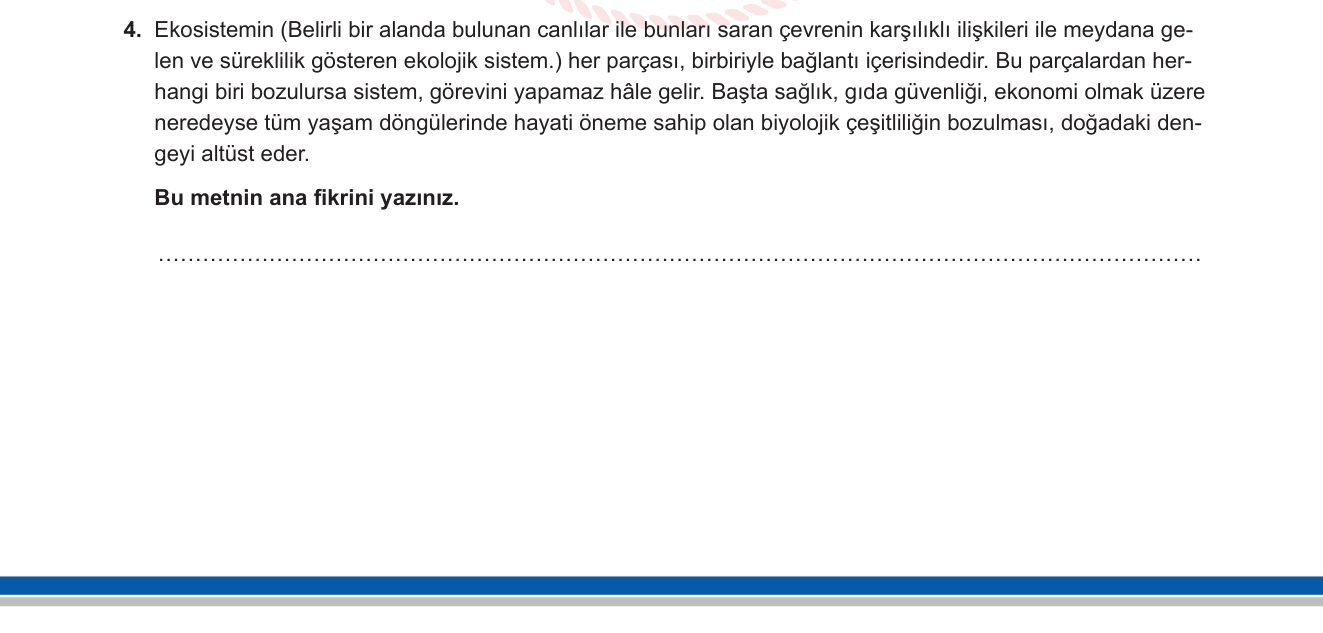 Türkçe sorusu 5 — Ana fikir bulma / Okuma anlama