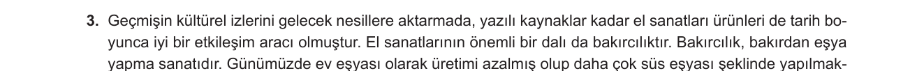 Türkçe sorusu 13 — 