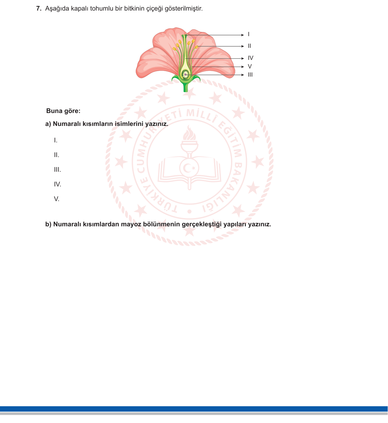 Biyoloji sorusu 14 — 