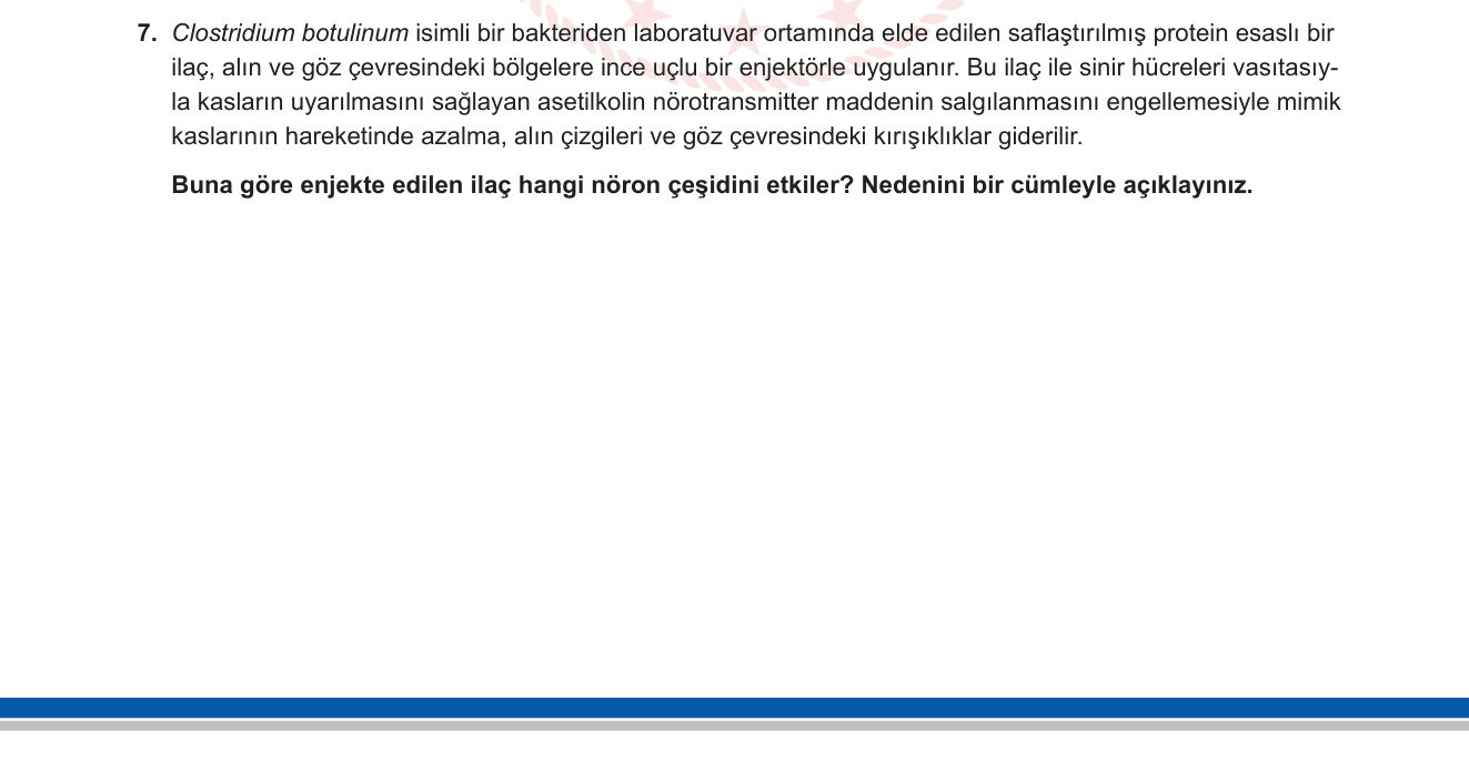 Biyoloji sorusu 15 — Sinir sistemi — Nöron tipleri; motor nöron; nöromüsküler kavşak; asetilkolin; botulinum toksini