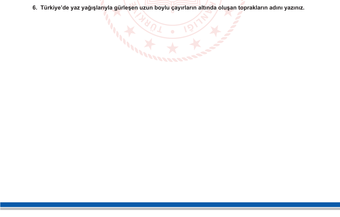 Coğrafya sorusu 6 — Türkiye Toprak Türleri — Çayır Toprağı (10. Sınıf Türkiye Fiziki Coğrafyası)