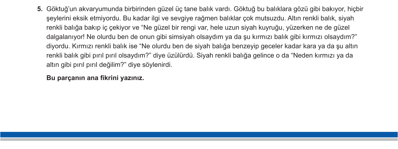 Türkçe sorusu 11 — 