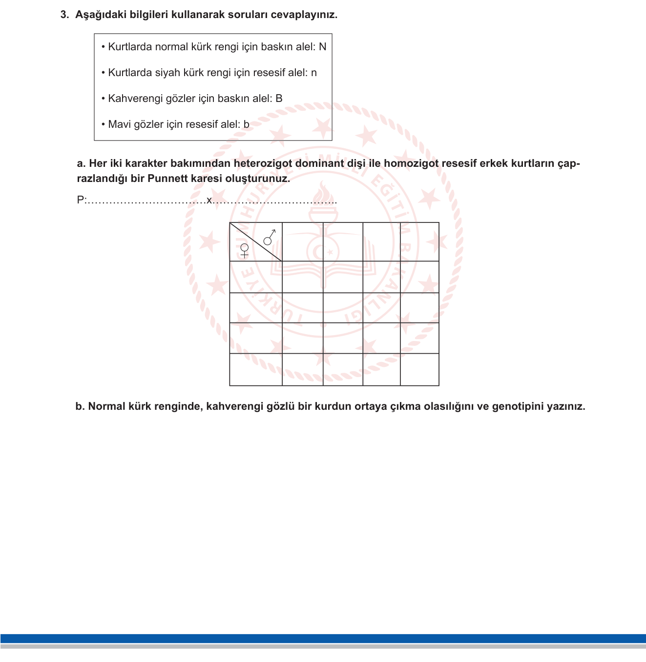 Biyoloji sorusu 18 — Kalıtım — Dihybrid test cross, Punnet karesi, bağımsız dağılım yasası (10. sınıf Biyoloji)