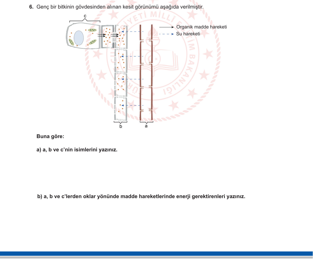 Biyoloji sorusu 28 — 