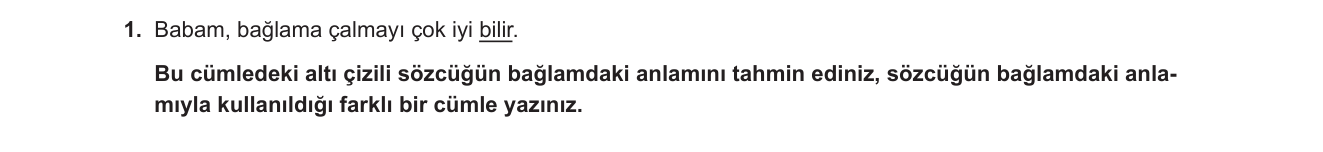 Türkçe sorusu 41 — 