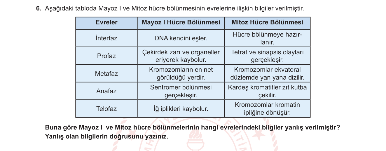 Biyoloji sorusu 6 — Mayoz I ve Mitoz bölünme evrelerinin karşılaştırılması